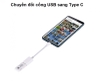 CỔNG CHUYỂN ĐỔI ĐẦU USB SANG TYPE C