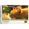 Bảng Vẽ Điện Tử GraphicWorld GW1060-V1 - Chính Hãng