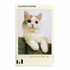 Film Fujifilm Instax Mini Photo Slide