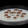 (Filter) Kính lọc Haida NanoPro Magnetic C-POL Filter (W/O Adapter Ring) 67mm/ 72mm/ 77mm/ 82mm