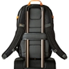 Lowepro Ridgeline BP 250 AW - chính hãng