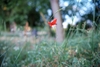 Viltrox AF 56mm F1.4 STM for Fujifilm