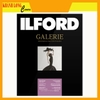 Giấy in ảnh ILFORD Raster Silk 290gsm 111.8cm x 15.2m