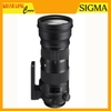 Sigma 150-600mm f/5-6.3 DG OS HSM For Ca/Ni - Chính hãng
