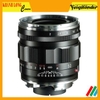 Voigtlander APO-LANTHAR 50mm F/2 Aspherical VM - chính hãng