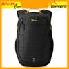 Lowepro Ridgeline BP 250 AW - chính hãng