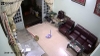 Camera Wifi 360 EZVIZ C6CN 720P