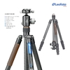 CHÂN MÁY LEOFOTO LX-284CT + XB-38R