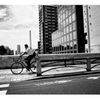 Ricoh GR IV / GR 4 - Chính Hãng