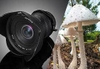 Laowa 15mm f/4 Wide Angle Macro - Chính hãng