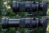 SIGMA 150-600/5-6.3 DG DN OS (SPORTS) cho E-MOUNT/L-MOUNT - CHÍNH HÃNG