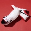 NIKE AIR JORDAN 1 LOW UNIVERSITY