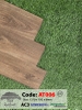 san-go-rainforest-at006