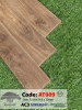 san-go-rainforest-at009