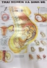 Tranh giải phẫu 13 tờ ( xuất bản 1998)