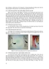Sách Chấn thương vết thương mạch máu