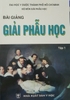 Sách - Bài giảng giải phẫu học (hcm) tập 1 và tập 2 ( bán cả bộ ) - Nguyễn Quang Quyền