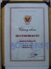 Bông cắt miếng Bạch Tuyết 10cm x 10cm 0.5kg