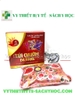 Túi chườm Vic Pharmar