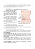 Sách - Bài giảng bệnh học ngoại khoa năm thứ 4 (y4)