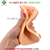 Mô hình khâu da 11 miếng có đế xanh