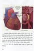 Sách Những điều cần biết về bệnh tim mạch dành cho bạn tập 1