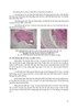 Sách Chấn thương vết thương mạch máu