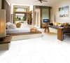 Gạch Viglacera 60x60 ECO S601