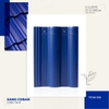 NGÓI TRÁNG MEN CAO CẤP TITAN006