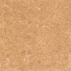 Gạch Viglacera 60x60 TS1 610