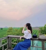 TOUR DU LỊCH MỘC CHÂU TỪ HÀ NỘI 2 NGÀY 1 ĐÊM