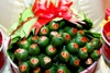 Tráp xin dâu ngày cưới