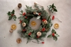 NGUỒN GỐC VÀ Ý NGHĨA ĐẶC BIỆT CỦA VÒNG NGUYỆT QUẾ NOEL