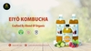 THƯ NGỎ - CHÀO SẢN PHẨM TRÀ KOMBUCHA CHUYÊN DÙNG CHO PHA CHẾ QUÁN BAR- CAFE