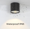ĐÈN LED DẠNG ỐNG BƠ LẮP NỔI NGOẠI THẤT NGOÀI TRỜI IP65 CHỊU NƯỚC CAO, VỎ ĐEN, ÁNH SÁNG TRUNG TÍNH 4000K, CÔNG SUẤT 12W, MÃ SẢN PHẨM : RDLS-9071-VMC62