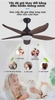 QUẠT TRẦN HIỆN ĐẠI 5 CÁNH CÓ ĐÈN LED NÂU ĐẬM NGẮN 1170MM - MODEL: XC124 / 11 - DC 6 SỐ