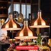 ĐÈN HÂM NÓNG THỨC ĂN SƯỞI ẤM - MODEL: X001/1 - 340