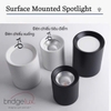 ĐÈN LED LẮP NỔI DẠNG ỐNG BƠ CHỐNG CHÓI SÂU - ĐƯỜNG KÍNH  MẶT ĐÈN 78mm - CÔNG SUẤT 10 - 12 watt - ĐỘ HOÀN MÀU CAO CRI 98- MODEL: WS - 893