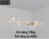 ĐÈN THẢ BÀN ĂN QUẢ CẦU THỦY TINH 8 BÓNG - MODEL : A9218 - GD 230 / 1100
