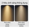 ĐÈN ÂM TRẦN GYPSOPHILA MINI SPOTLIGHT - LK : 50 MM / CÔNG SUẤT : 7W - MODEL : WS - 958