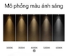 ĐÈN LED ÂM TRẦN MINI SPOTLIGHT - LỖ KHOÉT 55mm - PHÙ HỢP LẮP TỦ TRANG TRÍ - CÔNG SUẤT 3 watt - ĐỘ HOÀN MÀU CAO - ÁNH SÁNG TRUNG TÍNH 4000k - MODEL : WS - 983