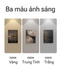 ĐÈN LED DẠNG ỐNG BƠ LẮP NỔI HÌNH TRÒN , CÓ THỂ THẢ TREO - ĐƯỜNG KÍNH 90 mm - CÔNG SUẤT 10 watt - ÁNH SÁNG VÀNG 3000k / TRUNG TÍNH 4000k - ĐỘ HOÀN MÀU CAO CRI98 - MODEL: WS - 805