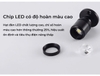 ĐÈN RỌI TỦ TRANG SỨC MINI 1 Watt - ĐỘ HOÀN MÀU CAO CRI 90 - LED CREE VÀNG 3000K - GÓC CHIẾU 24 ĐỘ - XOAY 360 ĐỘ - MODEL : WS - 969S