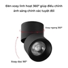 ĐÈN RỌI RAY ĐỔI MÀU ( RAY T2 PHỔ THÔNG ) - HÀNG CAO CẤP -  3 MÀU ÁNH SÁNG - ĐỘ HOÀN MÀU CAO CRI 98 - GÓC CHIẾU 36 ĐỘ - MODEL : WS - 996