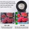 ĐÈN RỌI RAY ĐỔI MÀU ( RAY T2 PHỔ THÔNG ) - HÀNG CAO CẤP -  3 MÀU ÁNH SÁNG - ĐỘ HOÀN MÀU CAO CRI 98 - GÓC CHIẾU 36 ĐỘ - MODEL : WS - 996
