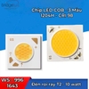 ĐÈN RỌI RAY ĐỔI MÀU ( RAY T2 PHỔ THÔNG ) - HÀNG CAO CẤP -  3 MÀU ÁNH SÁNG - ĐỘ HOÀN MÀU CAO CRI 98 - GÓC CHIẾU 36 ĐỘ - MODEL : WS - 996