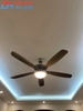 QUẠT TRẦN ĐÈN 5 CÁNH HUNGKEE - MÀU ĐỒNG XANH - CÓ ĐẢO CHIỀU - SẢI CÁNH 1550mm - HẸN GIỜ 1/2/3H - MODEL : FS 56