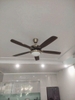 QUẠT TRẦN ĐÈN 5 CÁNH HUNGKEE - MÀU ĐỒNG XANH - CÓ ĐẢO CHIỀU - SẢI CÁNH 1550mm - HẸN GIỜ 1/2/3H - MODEL : FS 56