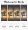 ĐÈN RỌI ĐẾ GẮN TRẦN GẮN TƯỜNG - ĐỘ HOÀN MÀU CAO CRI 98 - GÓC CHIẾU 24 ĐỘ - ÁNH SÁNG VÀNG 3000k - MODEL : DG - 980