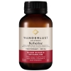 Viên uống hỗ trợ đường huyết Wanderlust High Strength Berberine Blood Sugar Support
